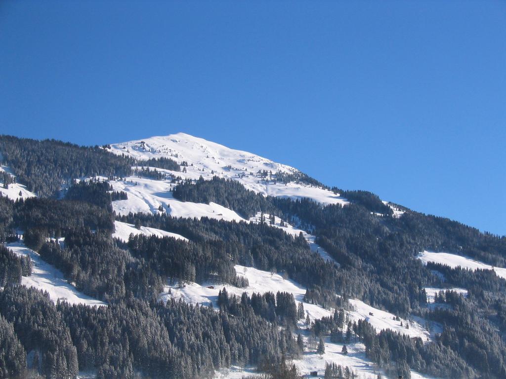 Kitz Mountain Living Apartment Aurach bei Kitzbuehel Exterior photo